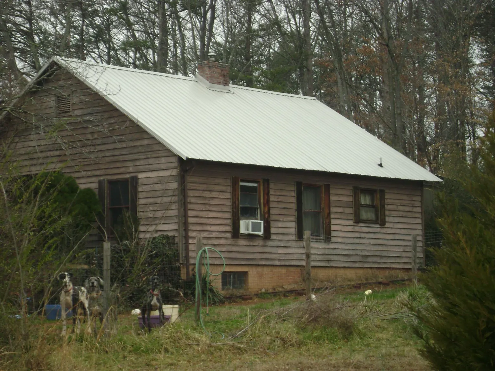 White metal roof on an old wood sided farmhouse, from a Asphalt Shingle Roof Repair job in Blairsburg
